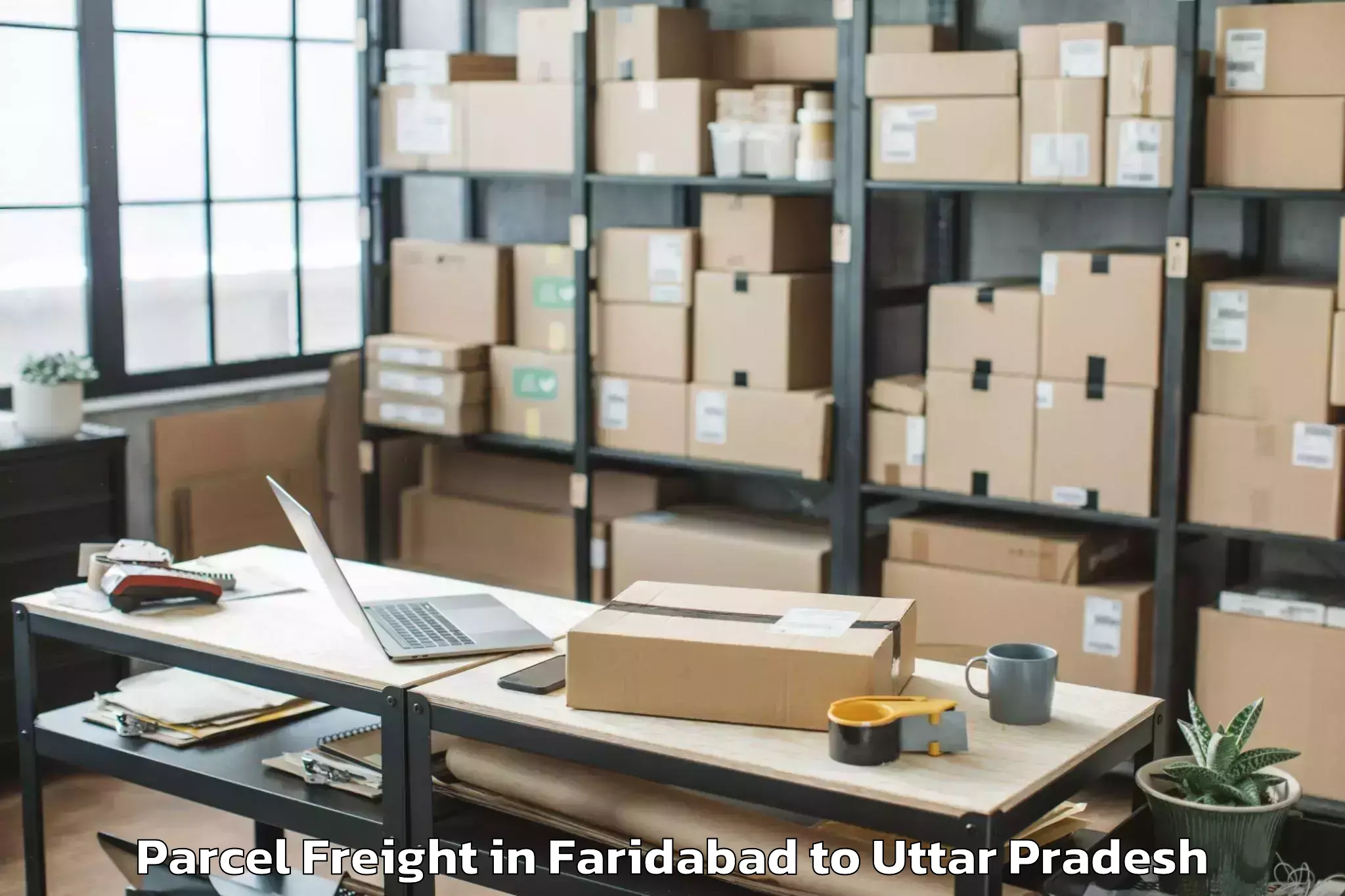 Quality Faridabad to Gola Bazar Parcel Freight